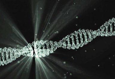Illustration d'un ADN