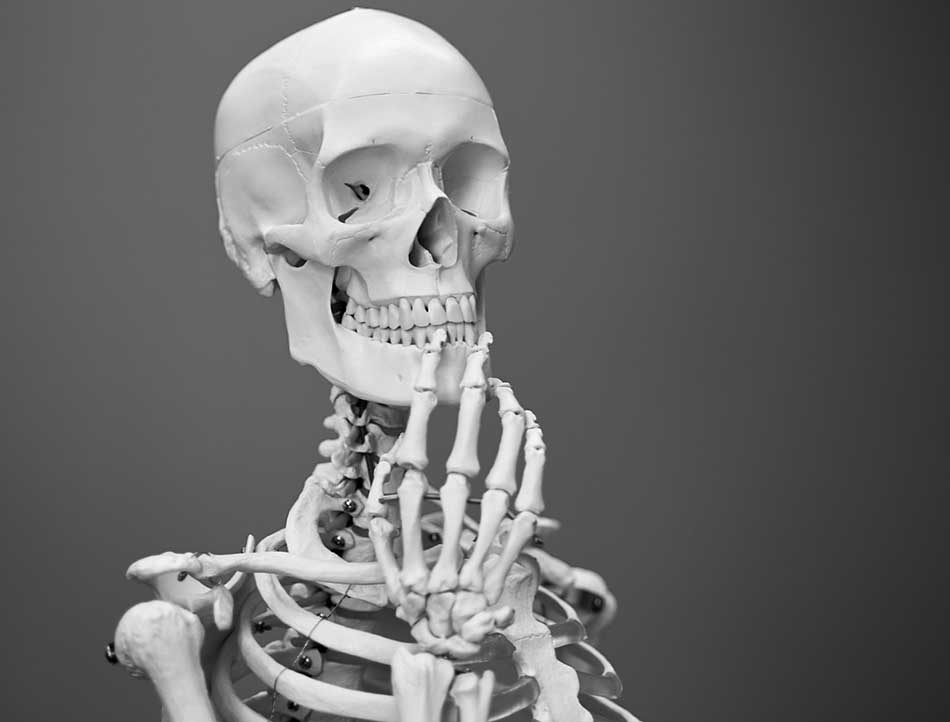 Un squelette humain